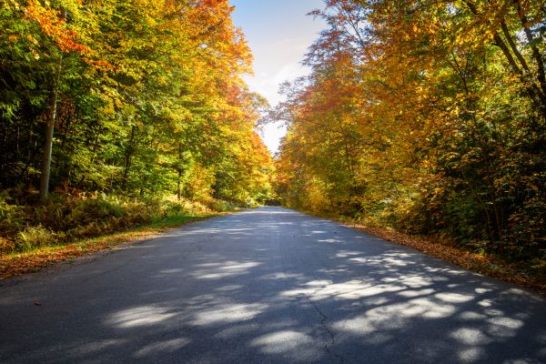Cost of Blacktop Replacement in Cave Creek